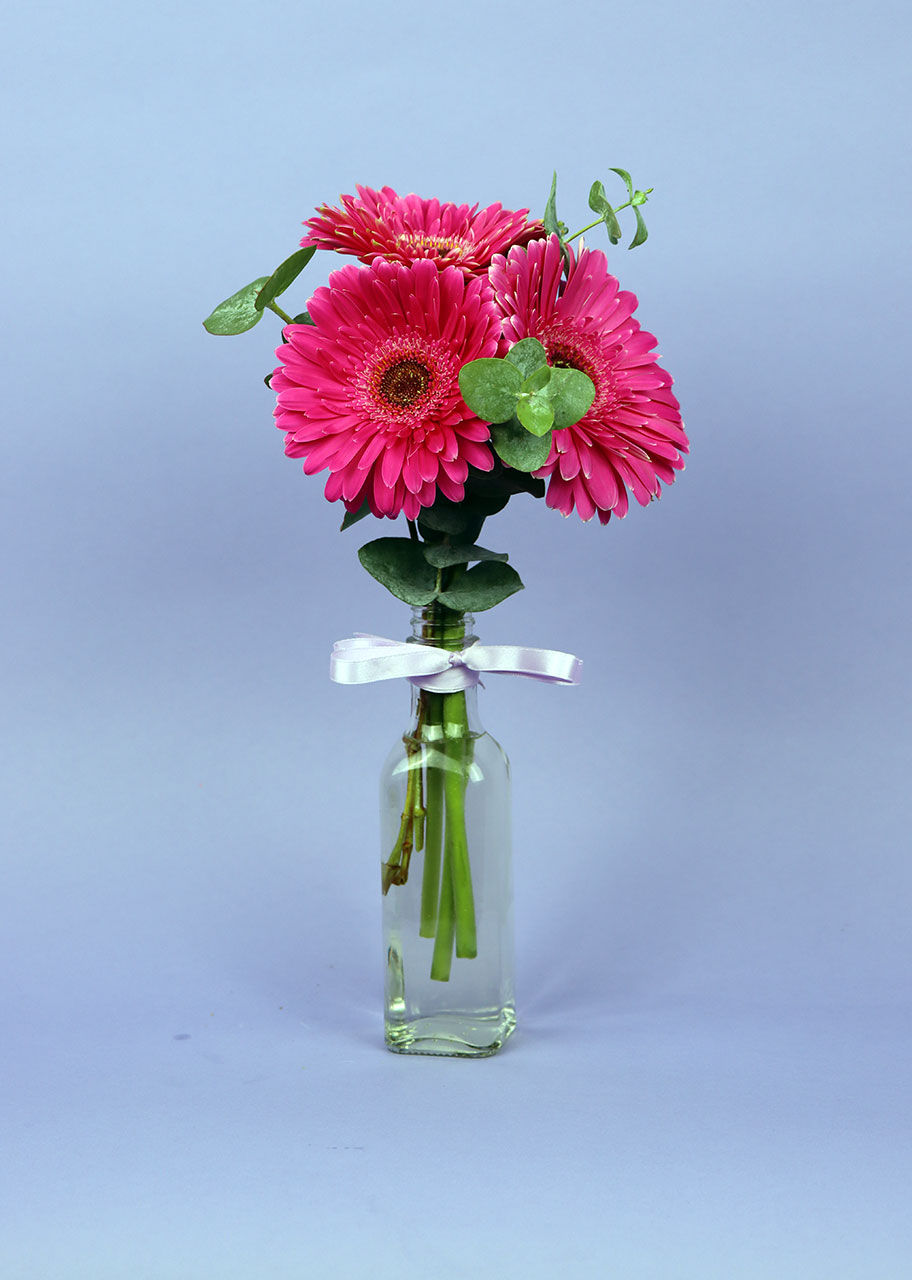 3 Alegres Gerberas para ti 