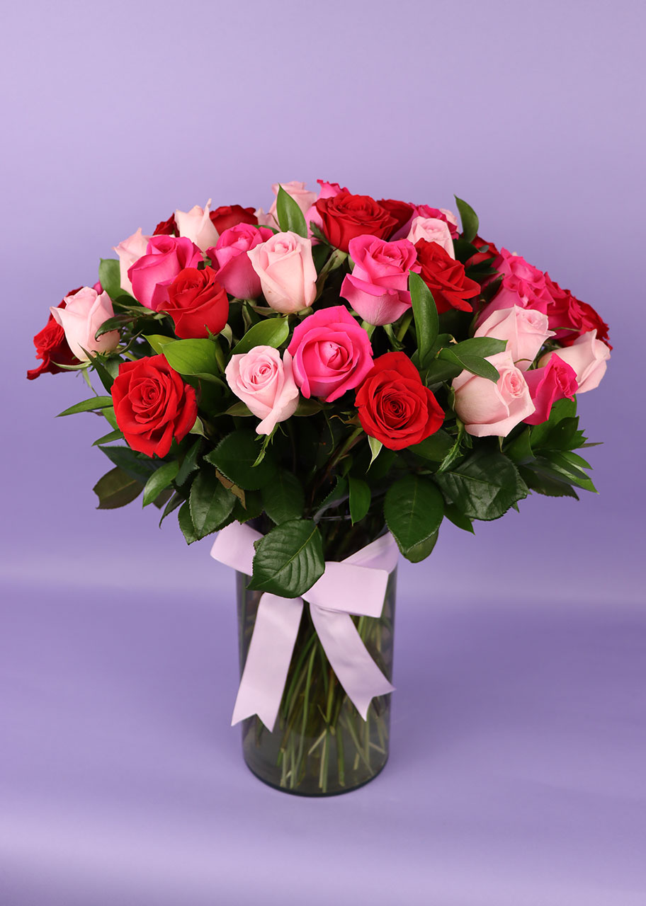 50 Radiantes Rosas Multicolor