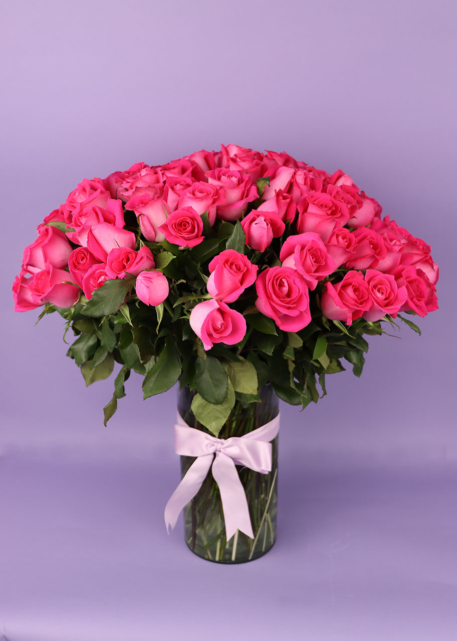 50 Radiantes Rosas Fiusha   