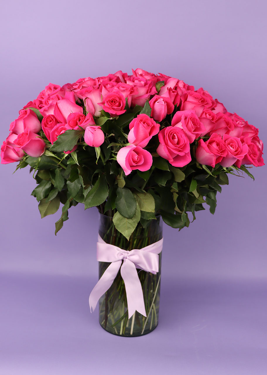 100 Radiantes Rosas en color rosa fiusha