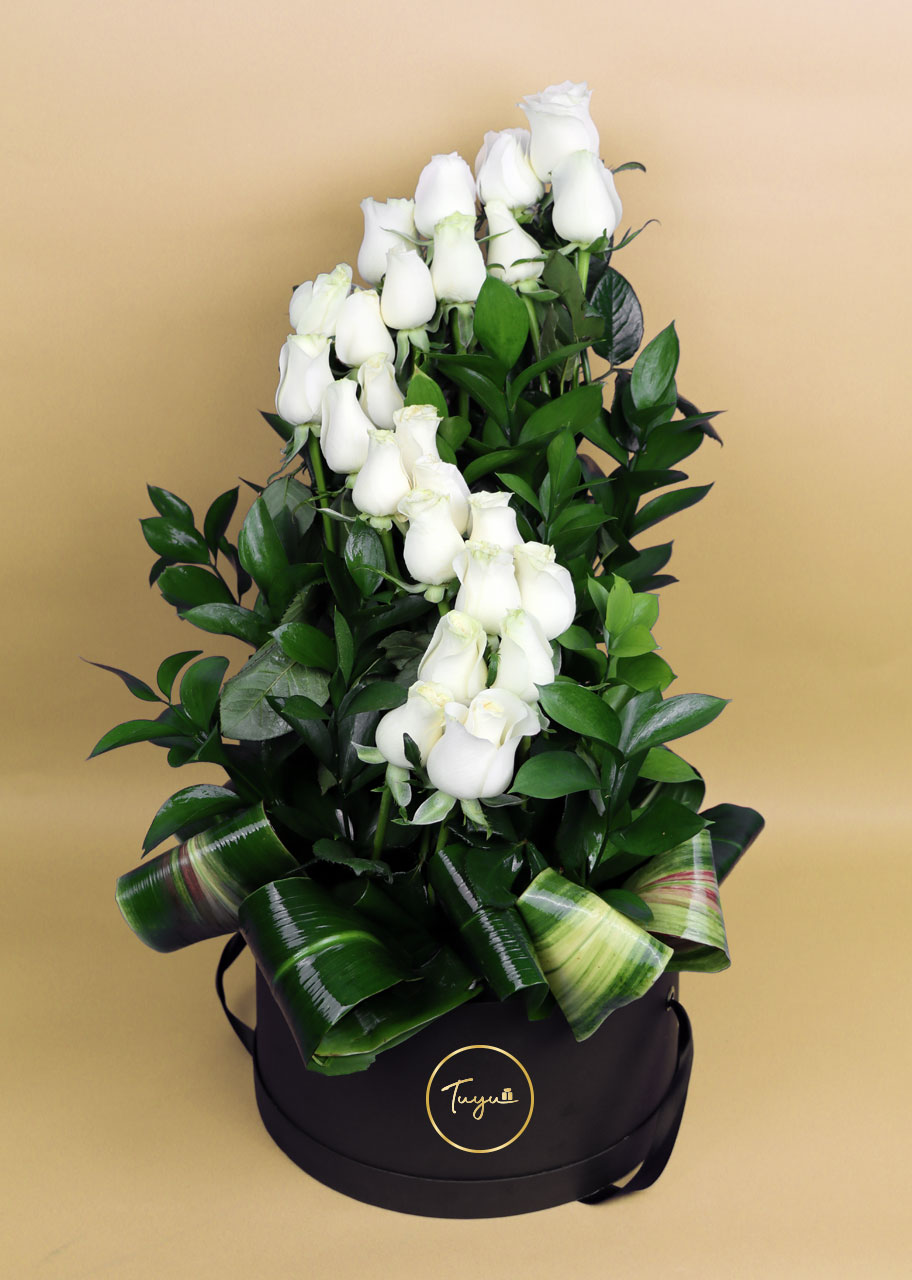 De  aquí al  cielo con 24 rosas Blancas