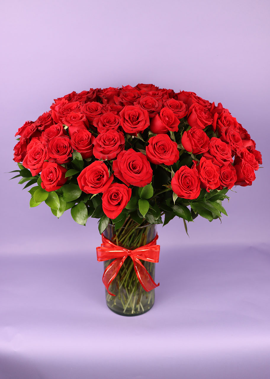 100 Radiantes Rosas Rojas 