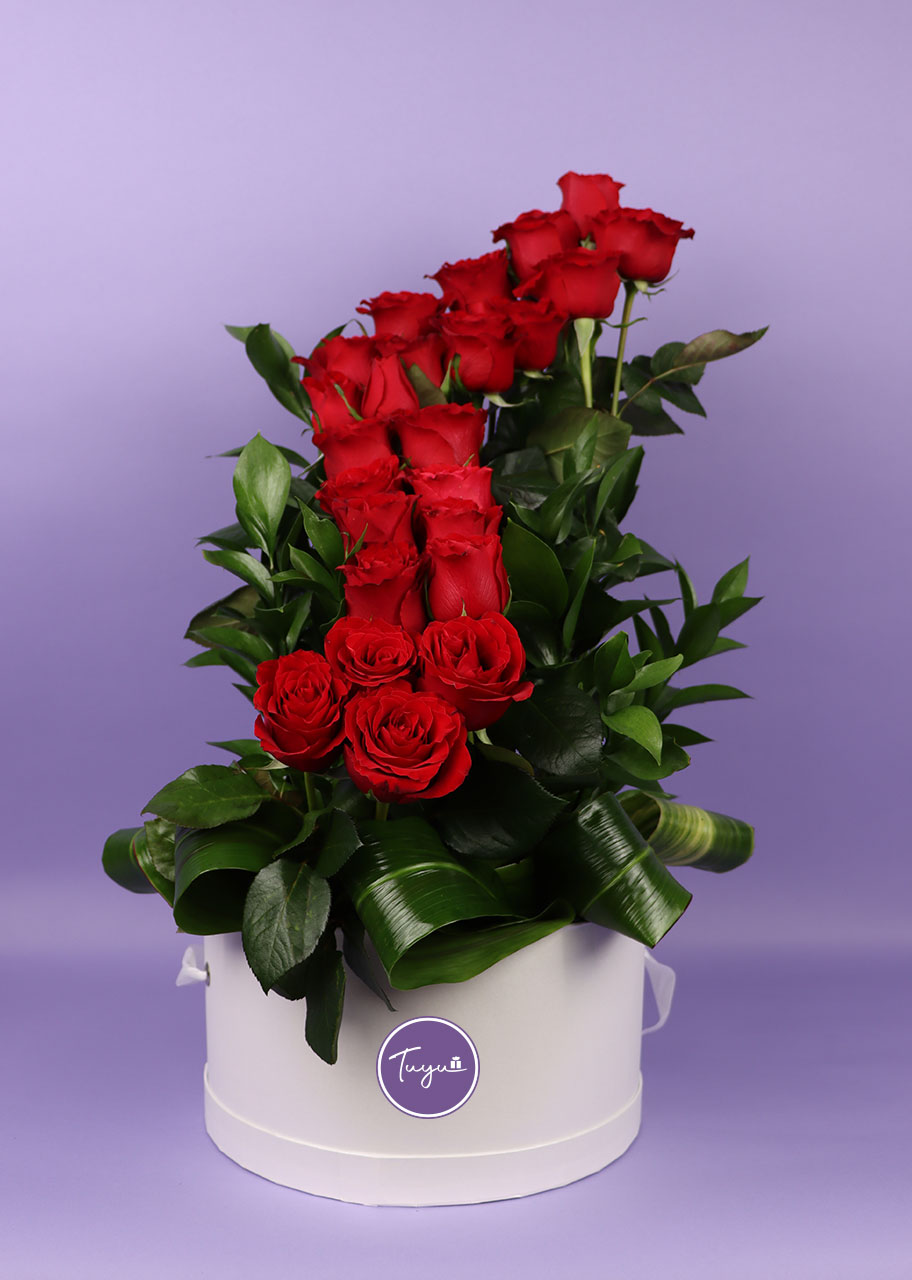 De aquí al cielo con 24 rosas Rojas