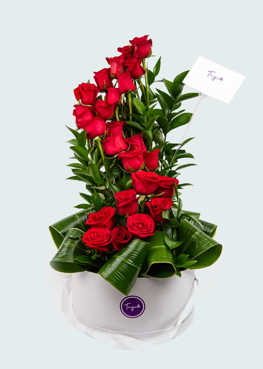 De aquí al cielo con 24 rosas Rojas