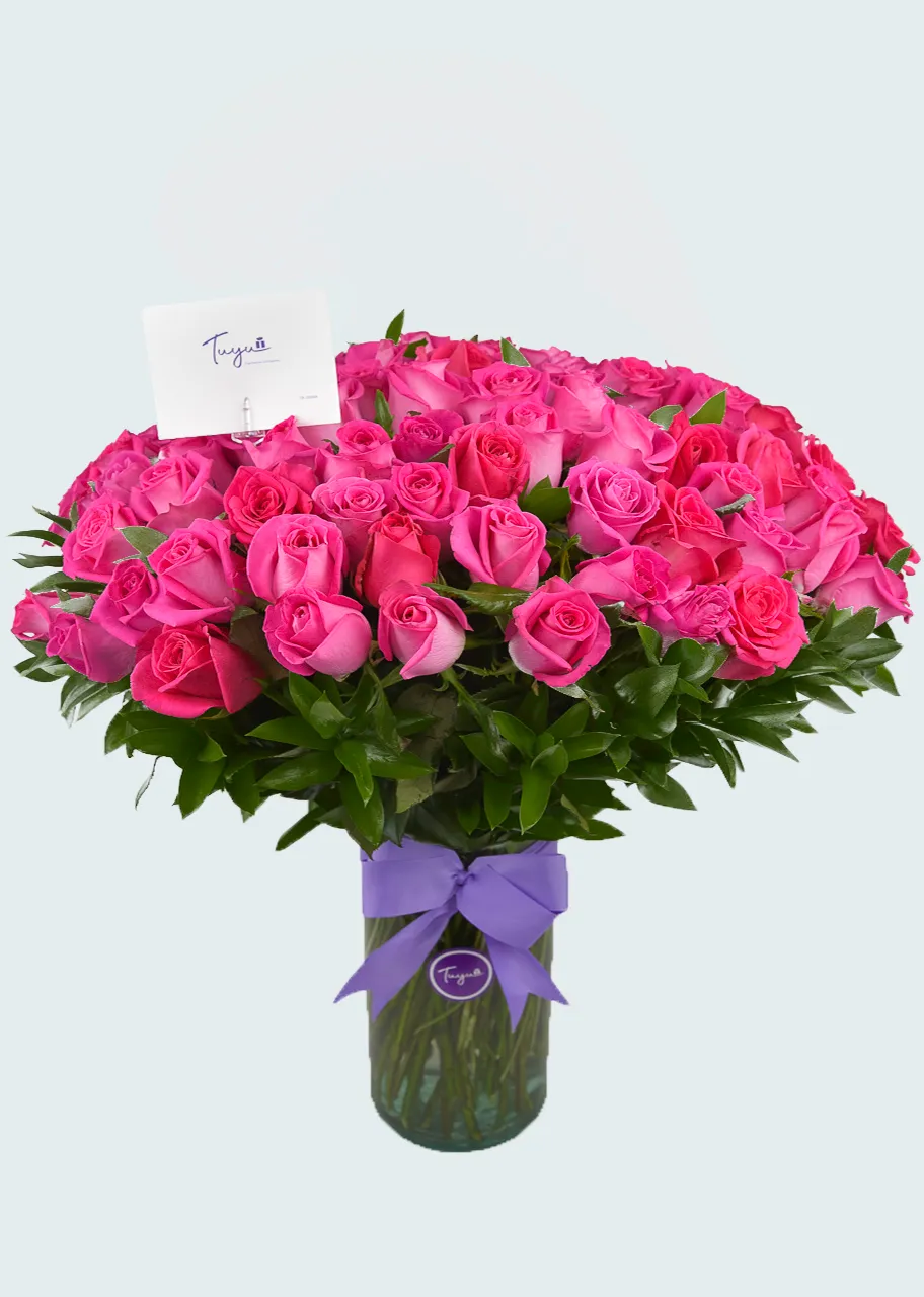 100 Radiantes Rosas en color fiusha