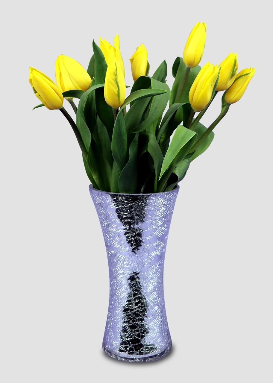 Bellísimos Tulipanes Amarillos