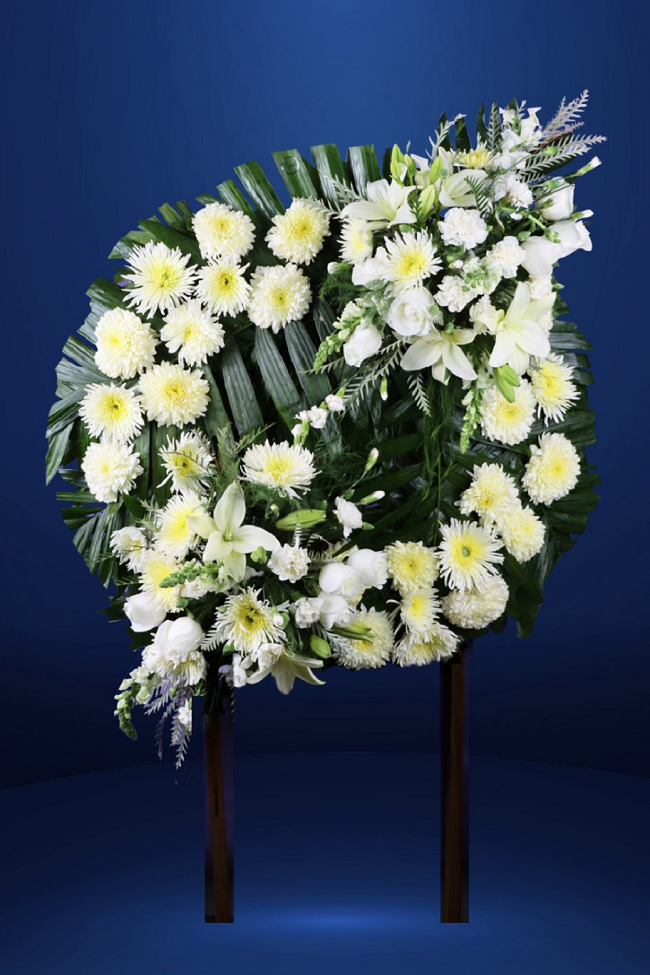 Corona Siempre Contigo 