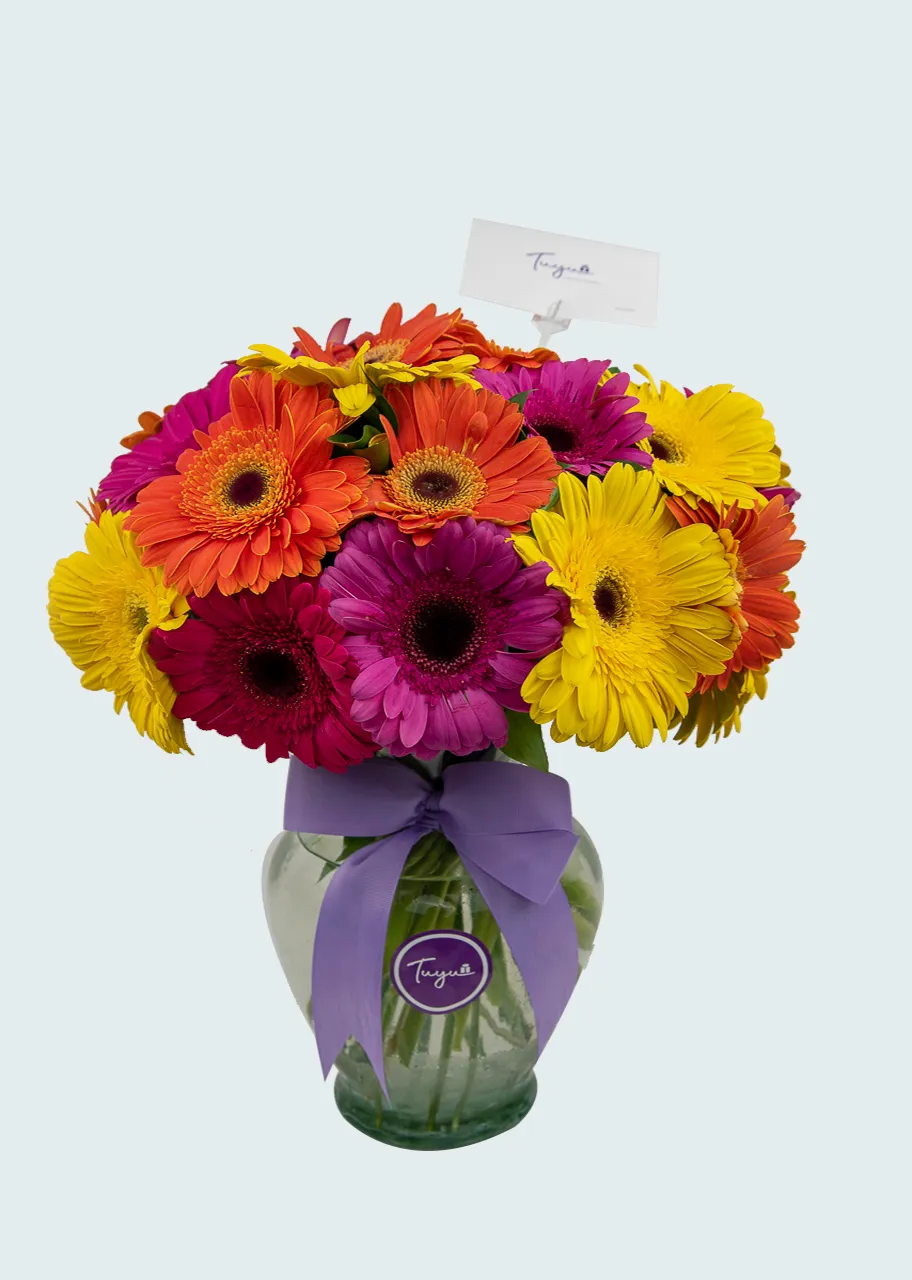 Alegría con Gerberas 