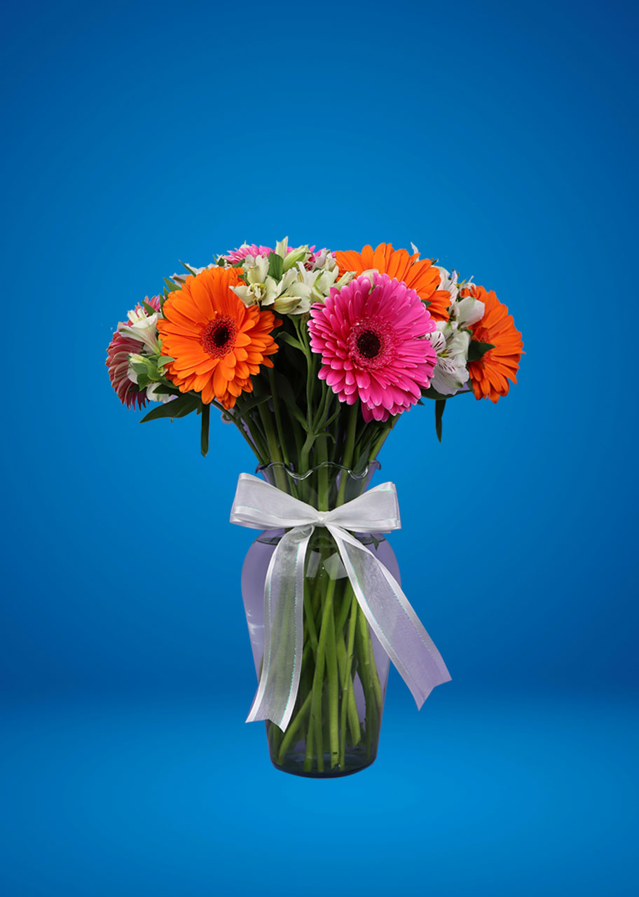 Un Cariño de Gerberas y Astromelias