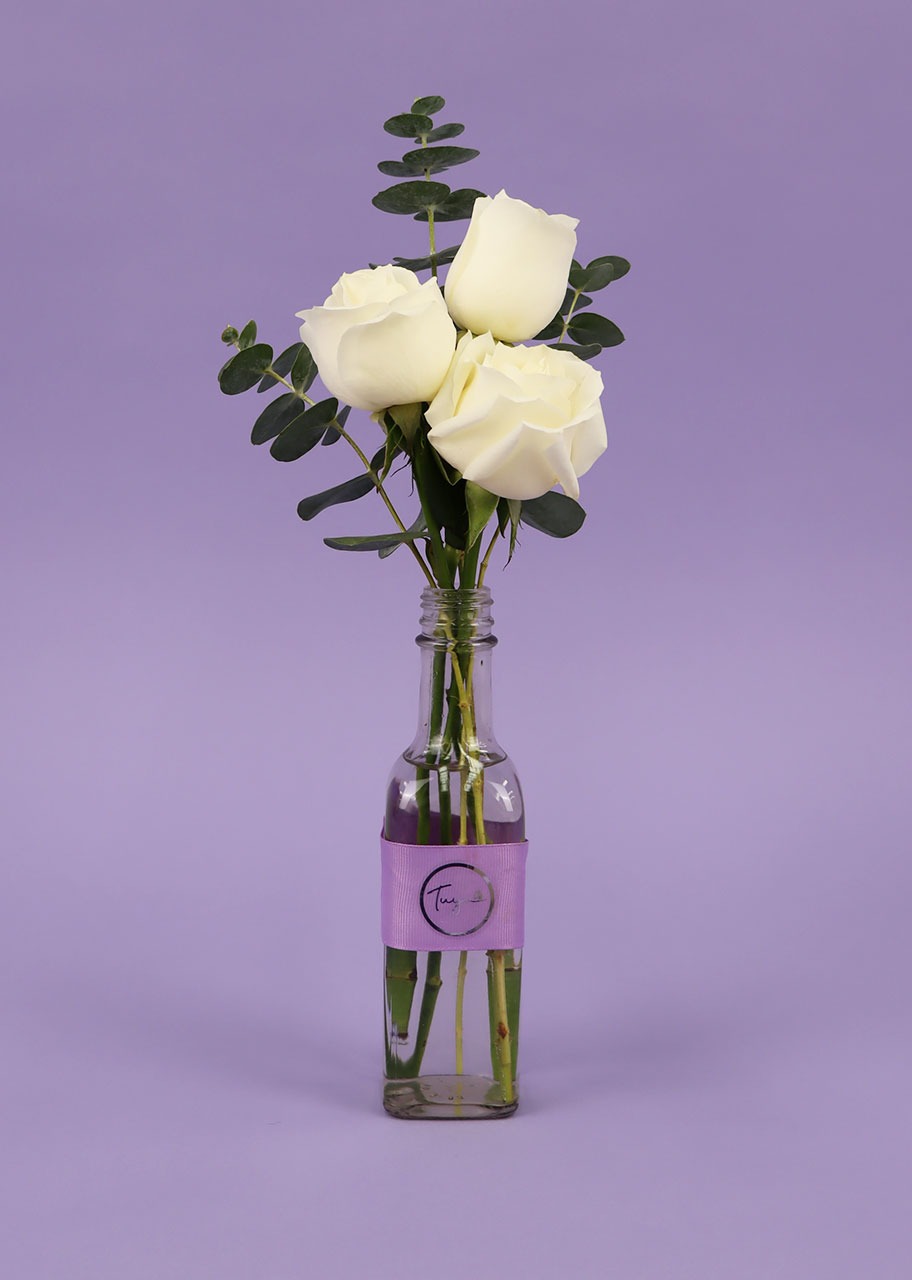 3 Felices Rosas Blancas 