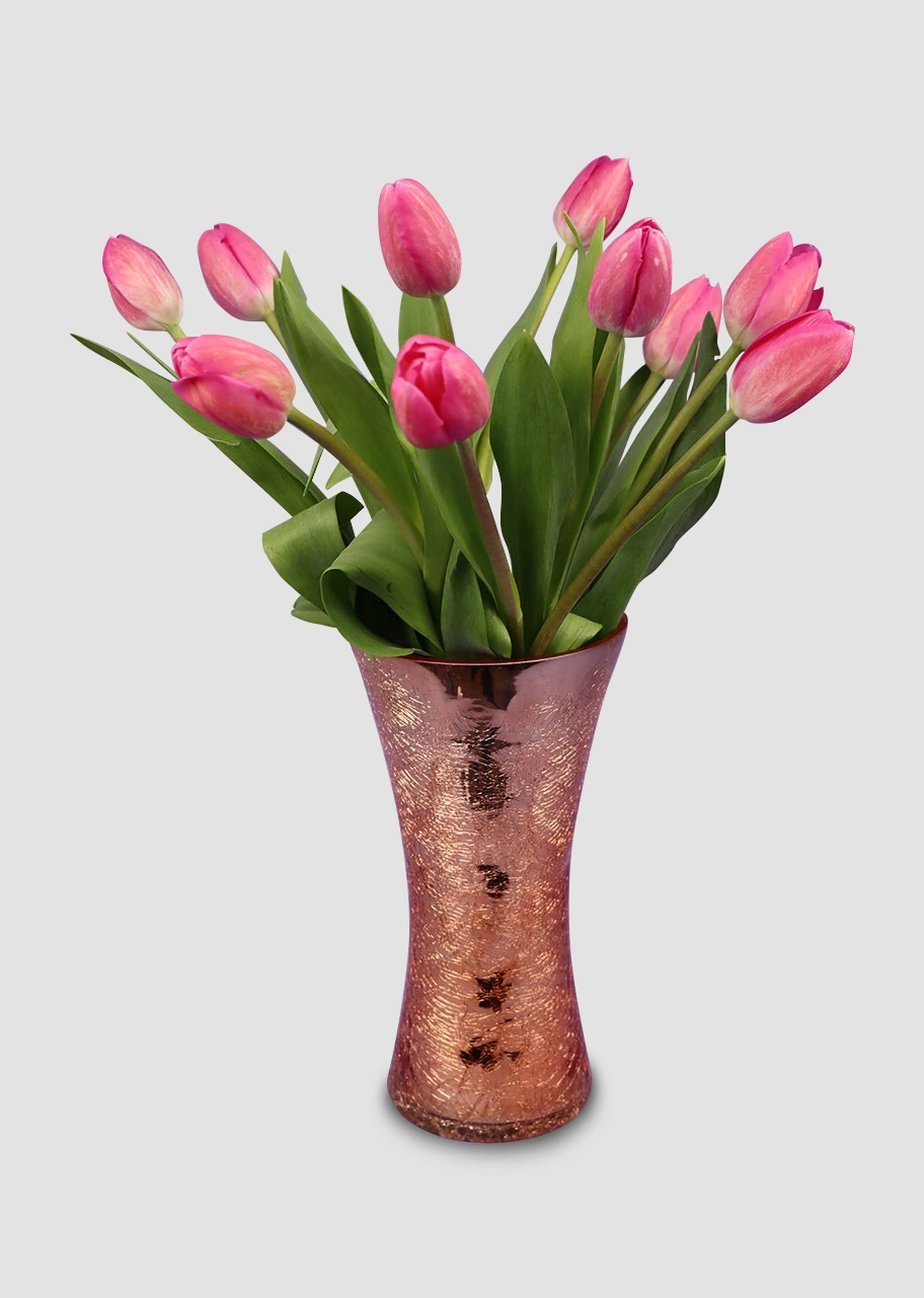 Bellos Tulipanes Fiusha 