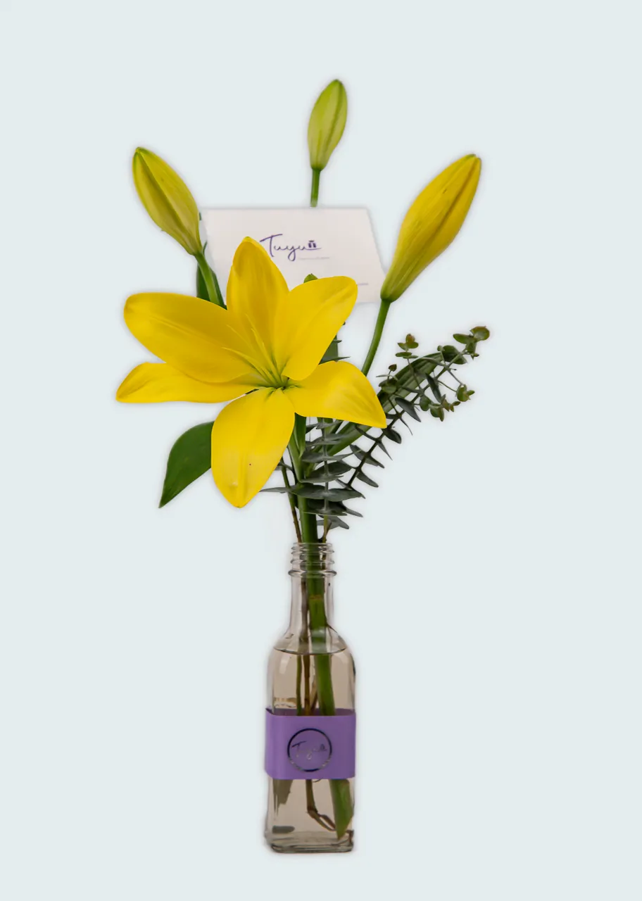 Bonita Lili en Amarillo