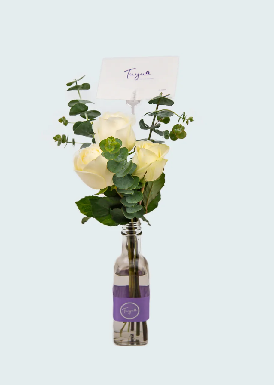 3 Felices Rosas Blancas 